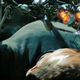 Illustration for article titled Transformers 2 Trailer: Screen Shot Mega-Gallery